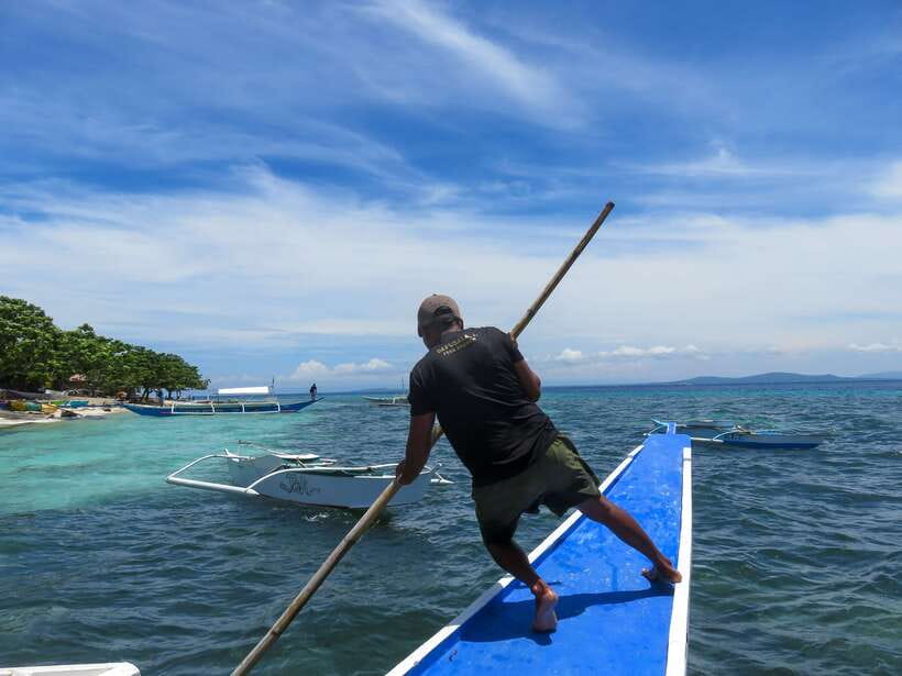 Bohol: Pamilacan Island Dolphin/Turtle Watching Tour & Lunch - Key things to know before you book