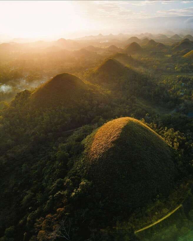 Bohol: Premium Chocolate Hills, Tarsiers & River Experience - Pickup details and practical planning