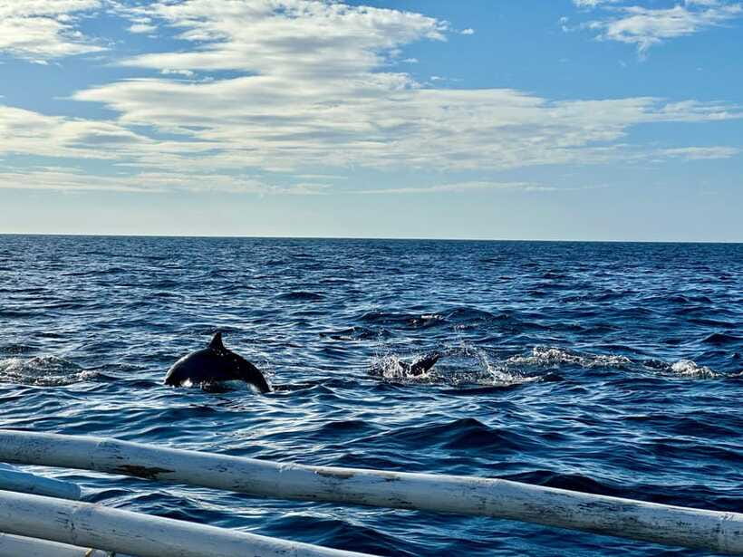 Bohol PREMIUM PAMILACAN Island Tour - Who Will Enjoy This Tour Most