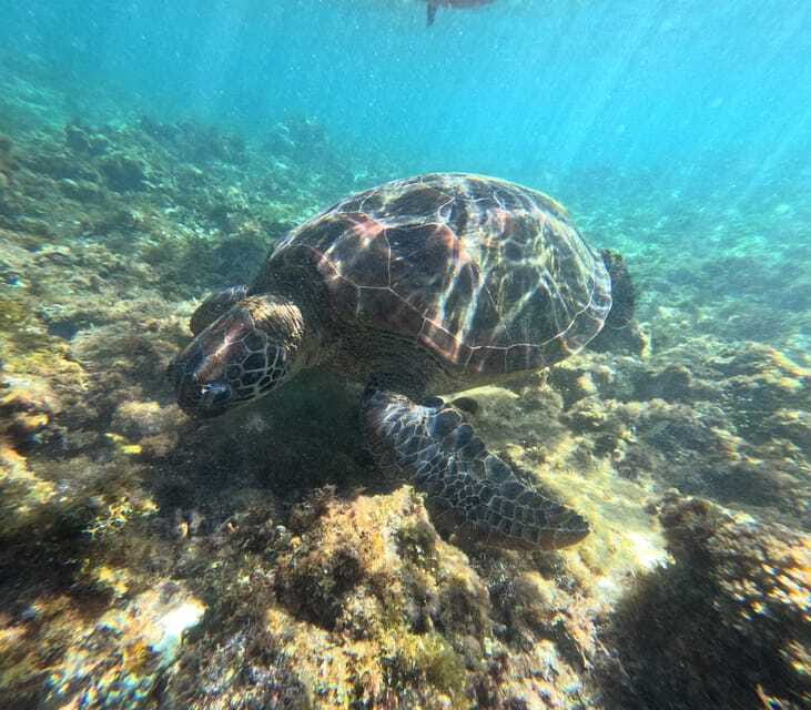 Bohol PREMIUM PAMILACAN Island Tour - Booking Details and Small Practical Points