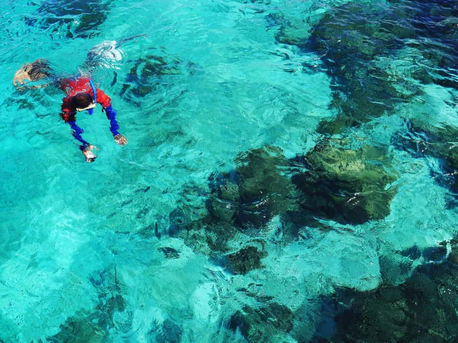 Bohol: Private Balicasag Tour with extra snorkeling time - Balicasag at about 8:45 AM