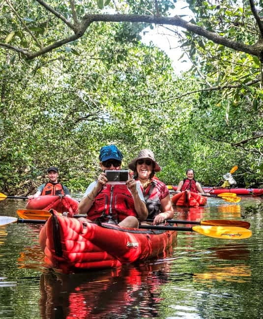 Bohol: SUSTAINABLE Mangrove Tunnels & Firefly Kayaking trail - A quiet start on Bohol’s Abatan River