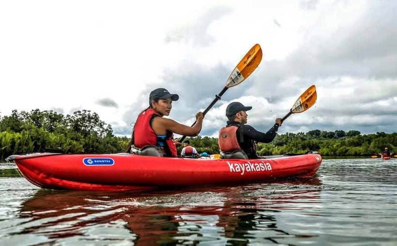 Bohol: SUSTAINABLE Mangrove Tunnels & Firefly Kayaking trail - Paddling through mangrove tunnels and nipa palms