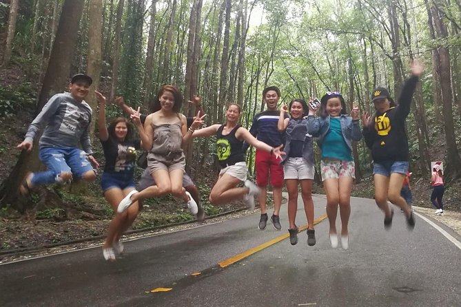 BOHOL Tour 2026 - Chocolate Hills, Tarsier and River Cruise Lunch - A full Bohol day built around three signature stops