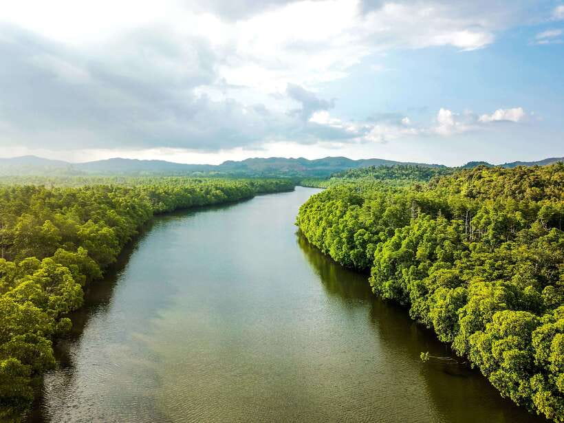 Bohol Tour Package: 3-Day Paradise Adventure - What the $193 price really covers