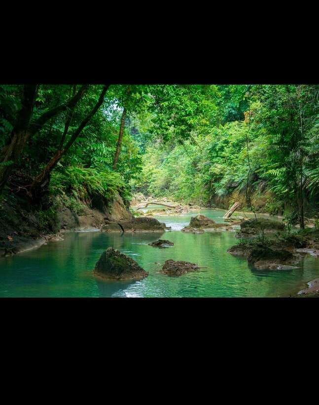 Bohol: Waterfall Hopping & Secret Jungle Trails Guided Tour - The guides make a practical difference