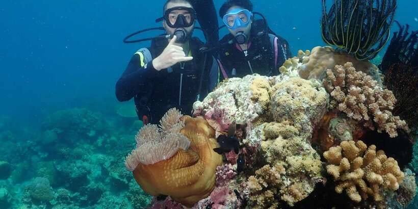 Boracay: Introduction to Scuba Diving Experience - Photos and videos are useful, but quality is not guaranteed