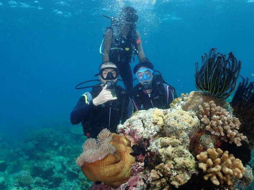 Boracay: Introduction to Scuba Diving Experience - Getting comfortable with mask, fins, tank, and regulator