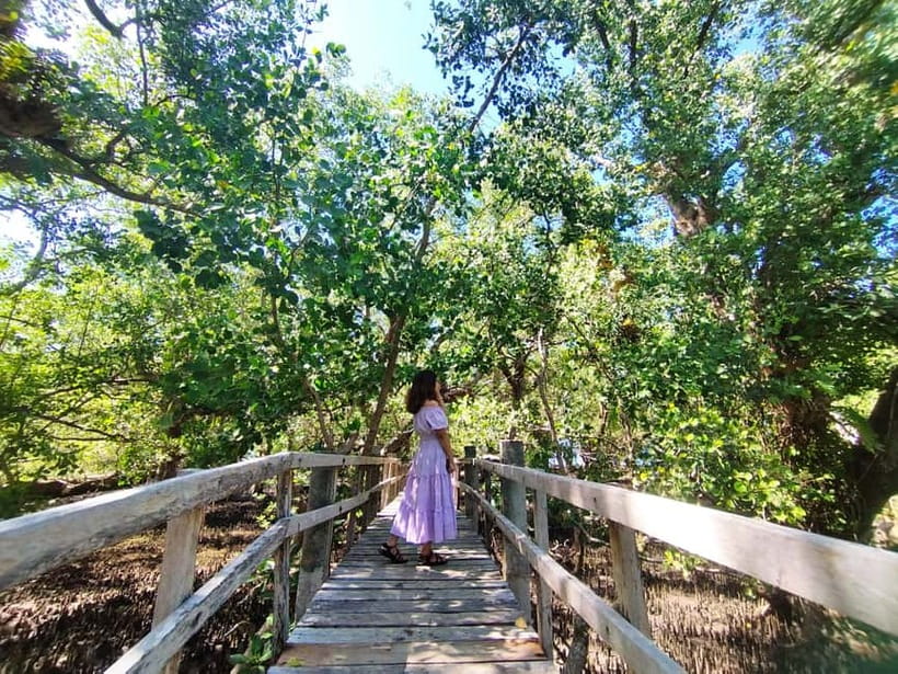 Camiguin: White Island Mantigue Island Exploration PRIVATE - Who should book this Camiguin tour?