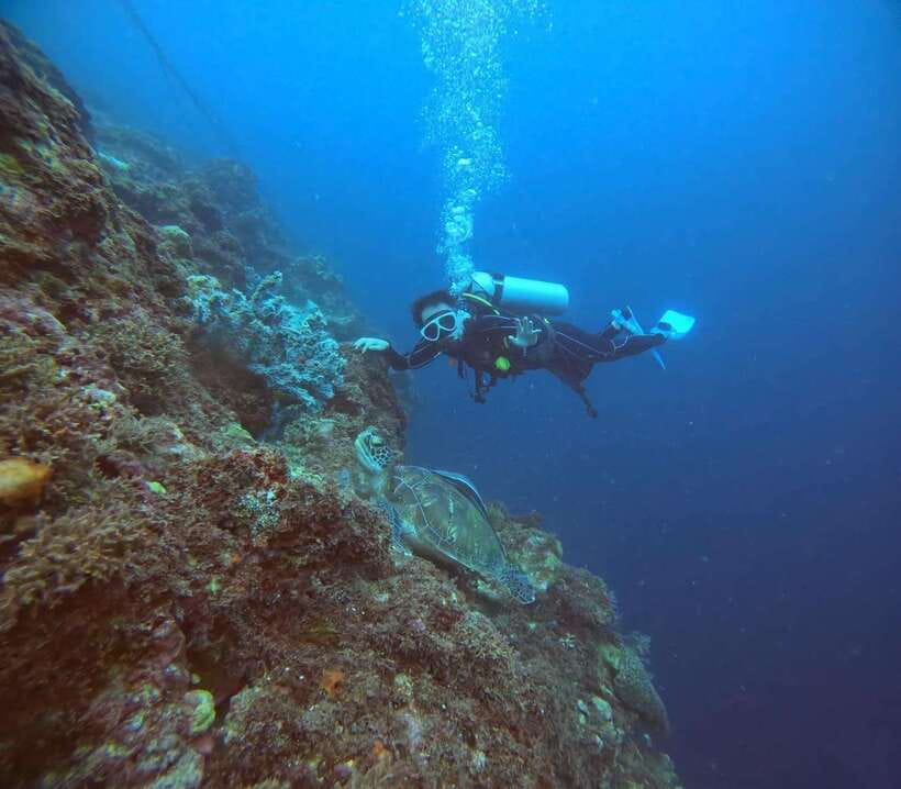 Cebu: Beach Scuba Diving Experience - Is $47 good value?