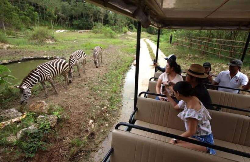 Cebu:Cebu Safari Adventure Park Day Trip - The hard question: safari park or zoo?