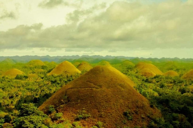 Cebu City: Bohol Countryside Tour with River Cruise Lunch - The butterfly garden adds color and variety