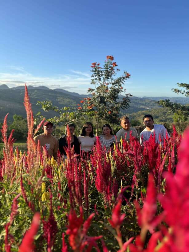 Cebu: City Highlights with Sirao Flower Garden Visit - From Cebu City to Sirao Flower Garden
