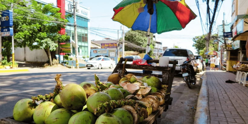 Cebu City: Historical, Local Cuisine & Mountain Guided Tour - Sirao Flower Farm closes the route with photographs