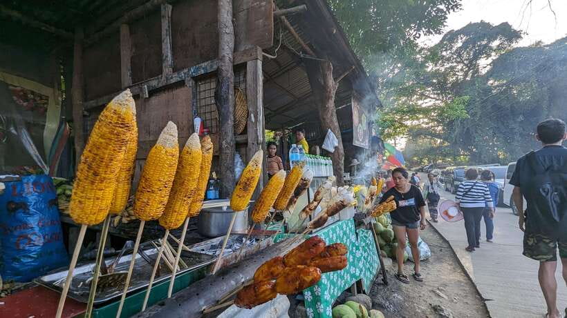 Cebu City with Sirao Garden Half Day Tour - FAQ