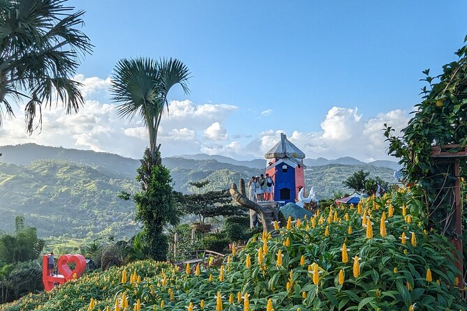 Cebu City with Sirao Garden Half Day Tour - Who should book it