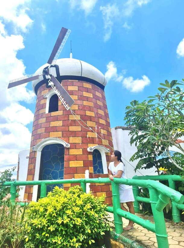 Cebu Highlands: Half-Day Escape with Optional Lunch - Sirao Garden: flowers, windmills, and quick photo stops