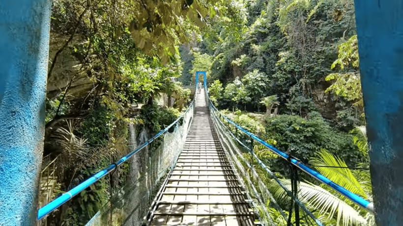 Cebu: Inambakan, Kawasan, and Mantayupan Falls Day Trip - What the guide and driver add to the day