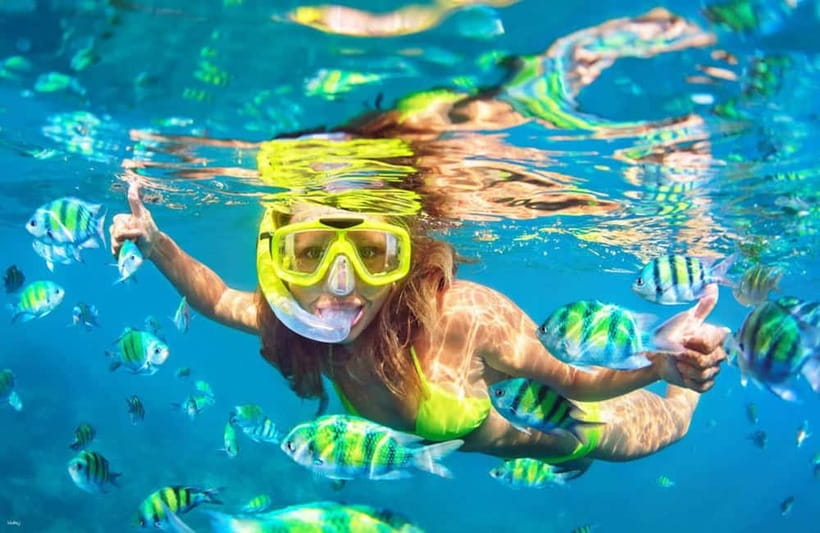 Cebu: Island Hopping 3 Islands + San Vicente Fish + Lunch - Gilutungan Island is a snorkel stop, not a village visit