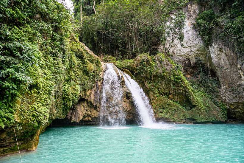 Cebu: Kawasan Canyoning, Moalboal Snorkeling, & Turtles Tour - Moalboal’s turtles and sardine school