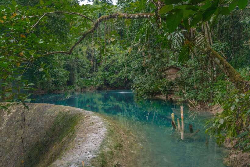 Cebu: Kawasan Falls Canyoneering & Cliff Jump Private Tour - Three hours through Badian’s river route