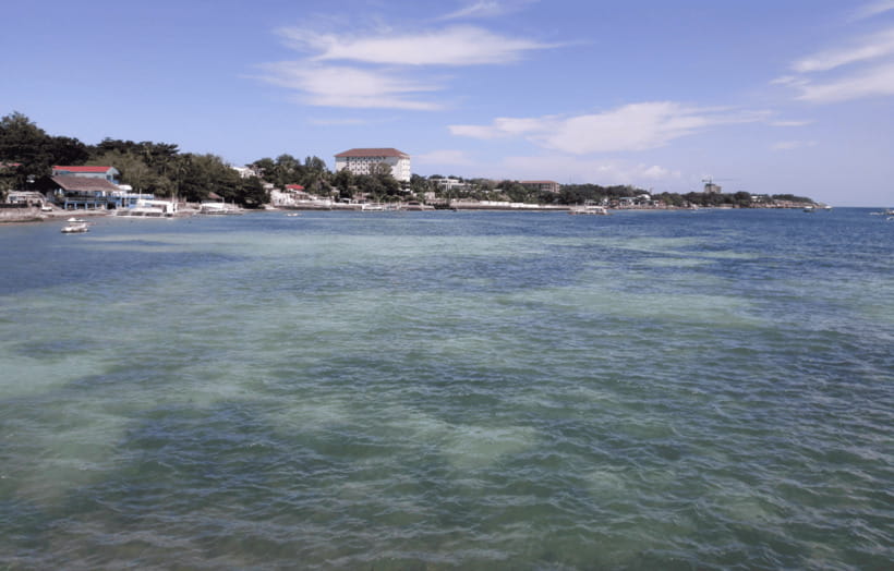 Cebu & Lapu-Lapu City Tour With Lunch at House of Lechon - Temple of Leah and the climb to Tops Lookout