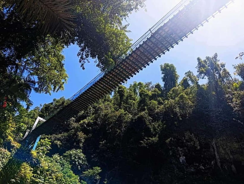 Cebu: Mantayupan Falls, Hermit's Cove & Bojo River Eco Tour - Transport, Timing, and the Real Cost of a 16-Hour Day