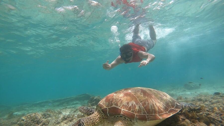 Cebu: Moalboal Island Hopping and Mantayupan Falls Day Trip - What the $112 price includes