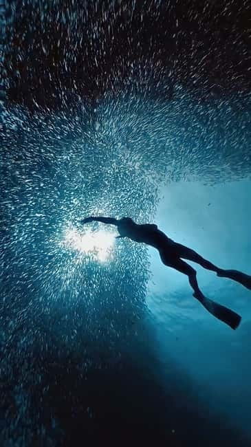 Cebu: Moalboal Sardine Run & Kawasan Falls Canyoneering - Panagsama Beach and the Moalboal sardine run