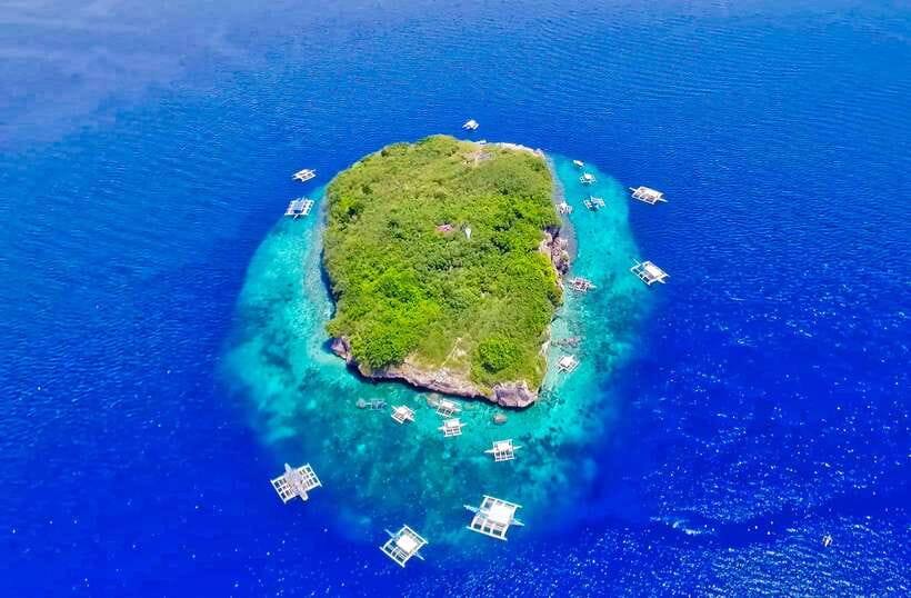 Cebu: Moalboal Sardines and Turtles Snorkeling Tour - Key points to know before booking