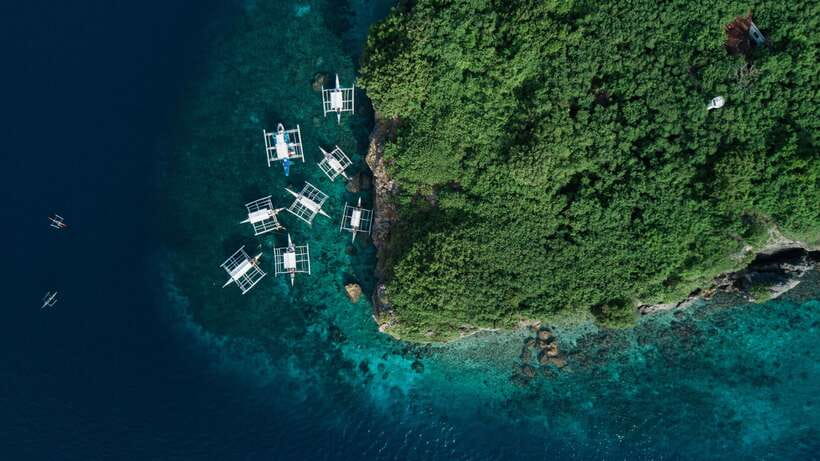 Cebu: Moalboal Sardines and Turtles Snorkeling Tour - Finding turtles at Talisay Point
