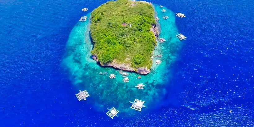 Cebu: Moalboal Sardines and Turtles Snorkeling Tour - Timing, comfort, and what to pack