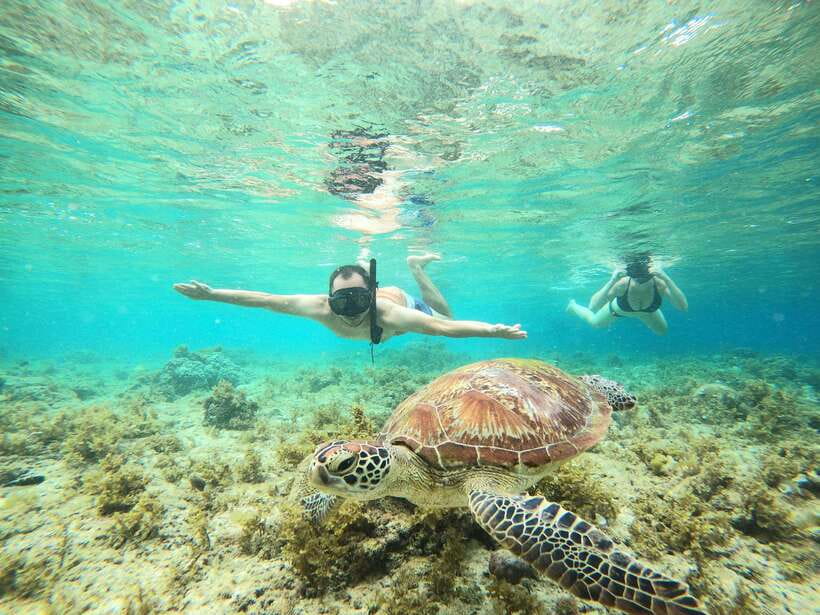 Cebu: Moalboal Sardines Run Snorkel & Kawasan Canyoneering - Why this Cebu combo makes sense