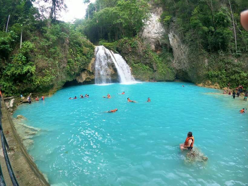 Cebu: Moalboal Sardines Run Snorkel & Kawasan Canyoneering - Moalboal’s sardine run and turtle search