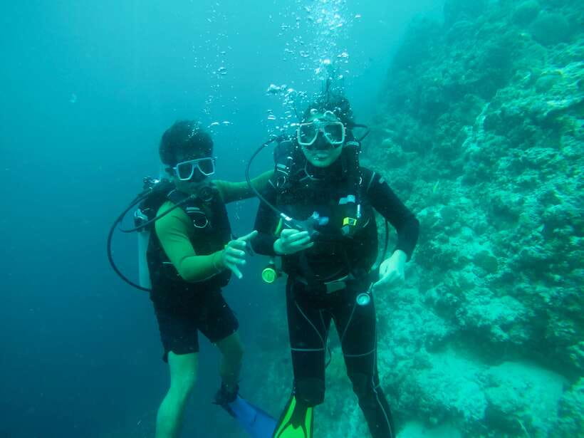 Cebu: Moalboal Scuba Diving with Sardines and Turtle Snorkel - Key points to know before booking