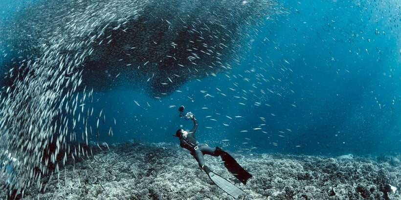 Cebu: Moalboal Scuba Diving with Sardines and Turtle Snorkel - The practical issue of several local providers