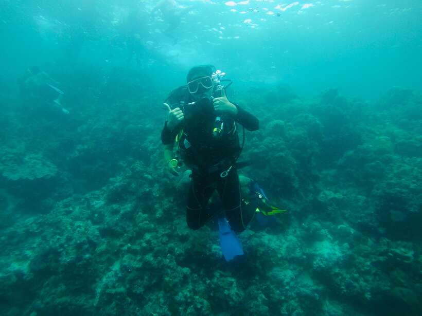 Cebu: Moalboal Scuba Diving with Sardines and Turtle Snorkel - Who will enjoy this most