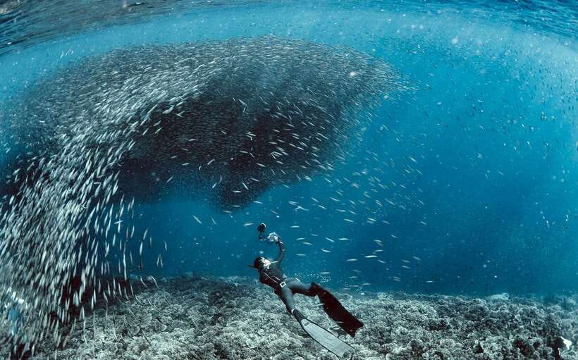 Cebu: Moalboal Scuba Diving with Sardines and Turtle Snorkel - What the first scuba session involves