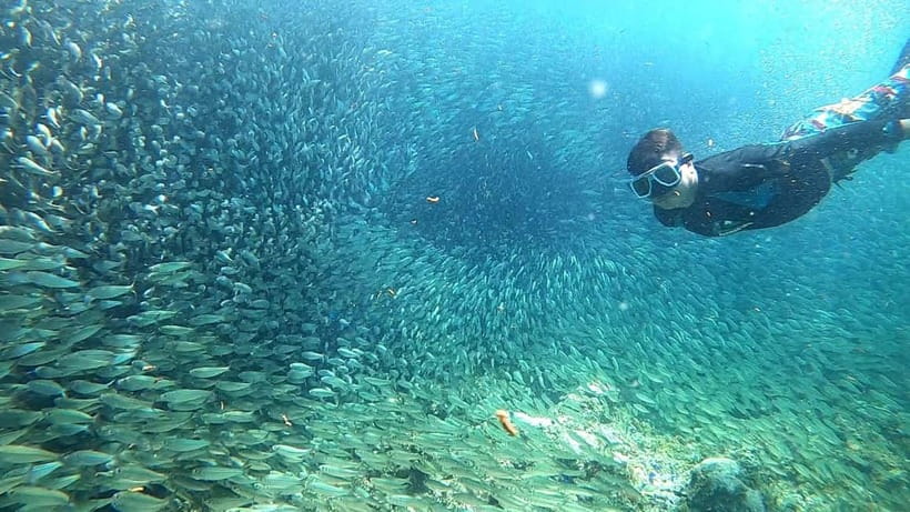 Cebu: Moalboal Snorkeling, Mantayupan Falls & ATV Adventure - Lunch in Carcar City