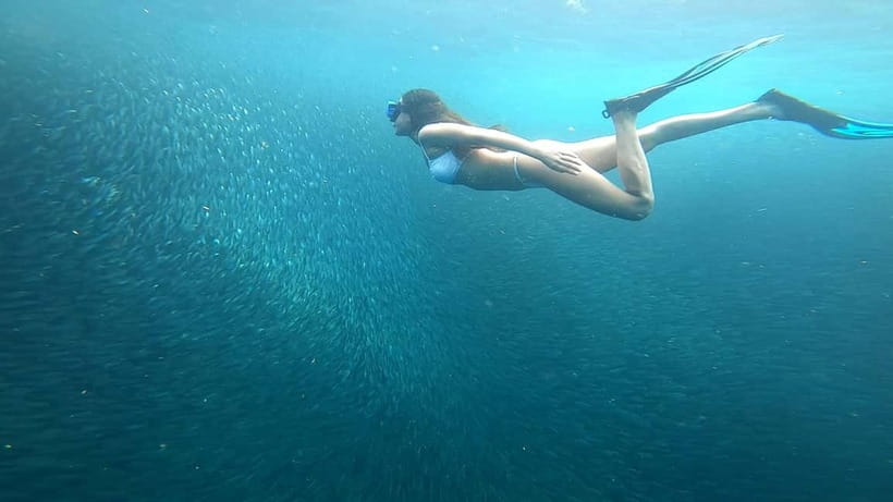 Cebu: Moalboal Snorkeling, Mantayupan Falls & ATV Adventure - Is the $117 price good value?