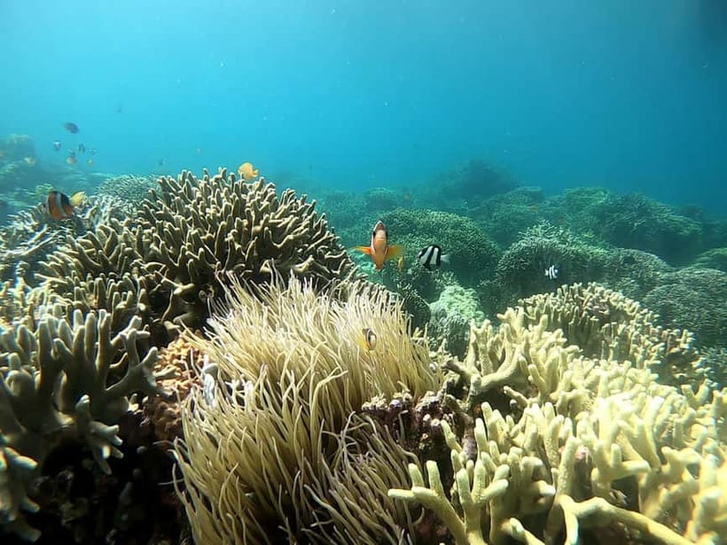 Cebu: Moalboal Snorkeling, Mantayupan Falls & ATV Adventure - What to pack for this particular day