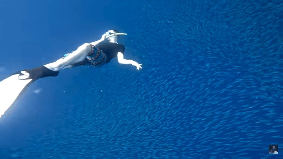 Cebu: Oslob Whale Shark and Moalboal Snorkeling Tour - Breakfast and the move south to Moalboal