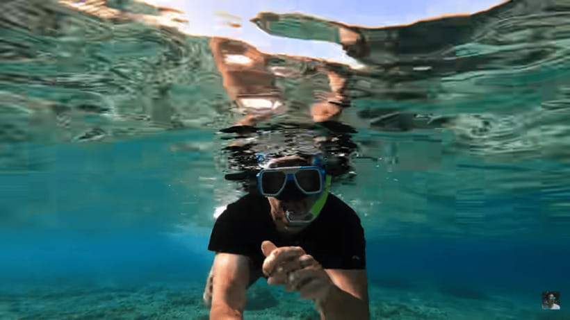Cebu: Oslob Whale Shark and Moalboal Snorkeling Tour - Guides, photos, and the human side of the day