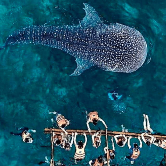 Cebu: Oslob Whale Shark, Sumilon, Ruins, Simala Church - Cuartel Ruins shows Oslob’s older side
