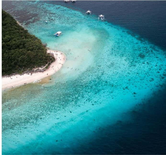 Cebu: Oslob Whale Shark Swim and Sumilon Island Day Tour - Sumilon Island and its bright white sandbar