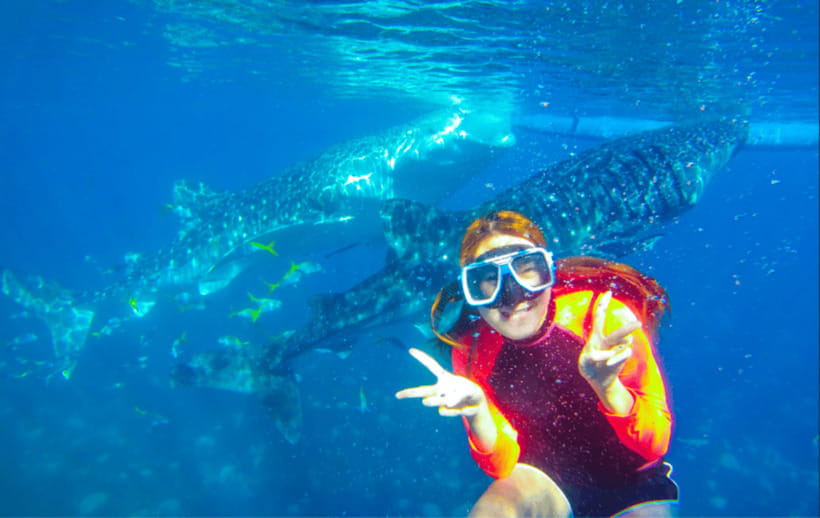 Cebu: Oslob Whale Shark Swimming and Tumalog Falls Tour - Who should book this day trip?
