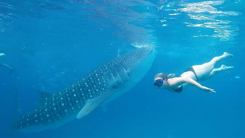 Cebu:Oslob Whale Shark Swimming & Kawasan Falls Canyoneering - Breakfast after the whale sharks
