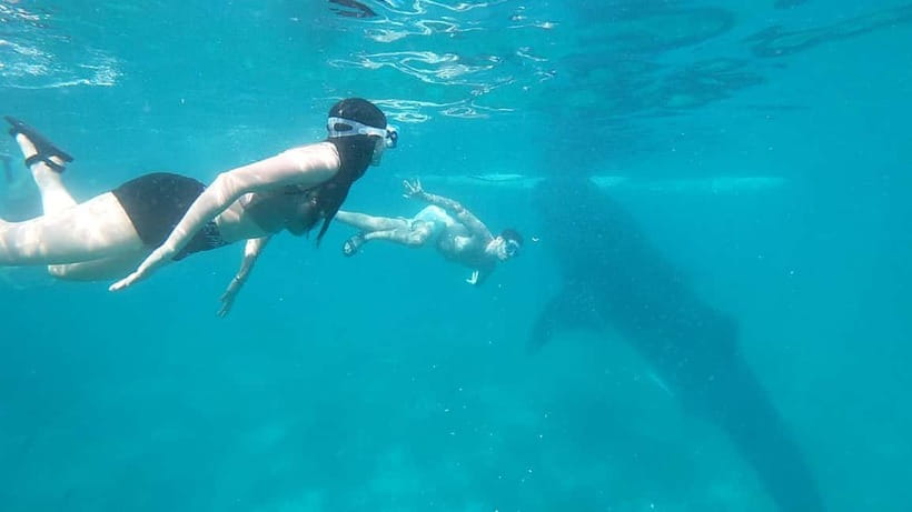 Cebu:Oslob Whale Shark Swimming & Kawasan Falls Canyoneering - Lunch, wet clothes, and the ride back