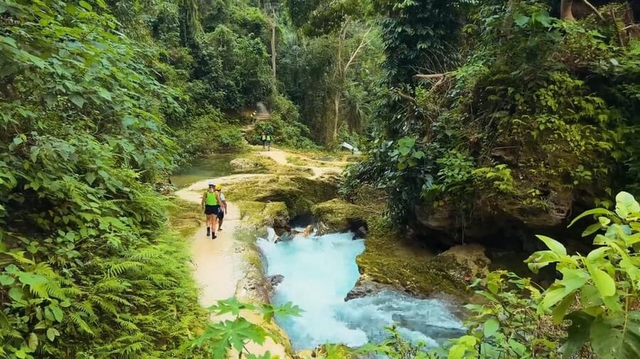 Cebu:Oslob Whale Shark Swimming & Kawasan Falls Canyoneering - Who will get the most from this trip
