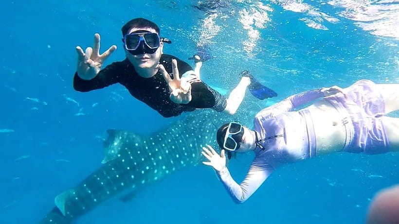 Cebu Oslob: Whale Shark Watching Experience - The three-hour Oslob stop